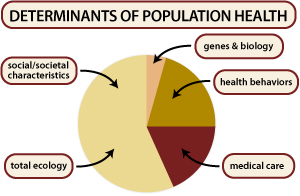 determinants-pop-health