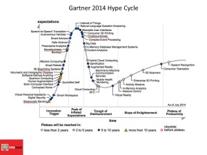 Gartner 2014 Hype Cycle